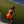 Boardshort homme paprika HONO porté par un surfeur dans une vague, vêtement de surf durable et éco-responsable