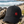 Casquette surf noire HONO Wave broderie corail en coton recyclé posée sur du bois flotté face à l'océan, ambiance surfwear premium