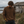 Pull HONO Surf Coastlife homme Toffee en coton bio et polyester recyclé porté en bord de mer